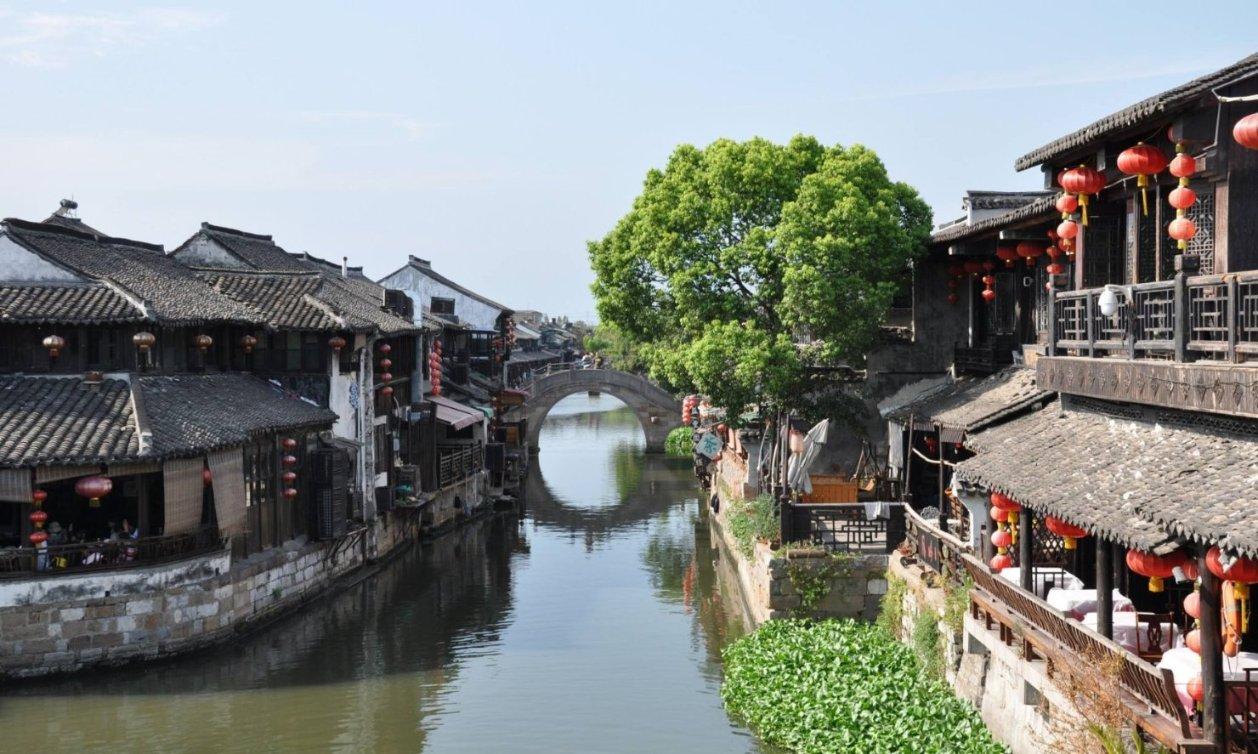 僵尸跳跳跳